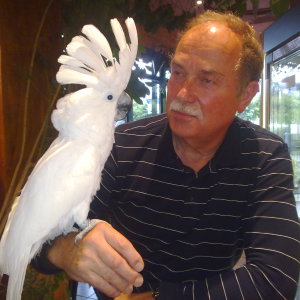 Profilbild von Willi Brinckmann