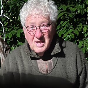 Profilbild von Willi Jansen