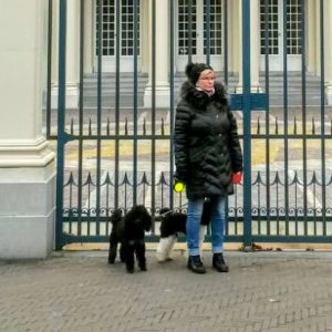 Profilbild von Wilma Willam