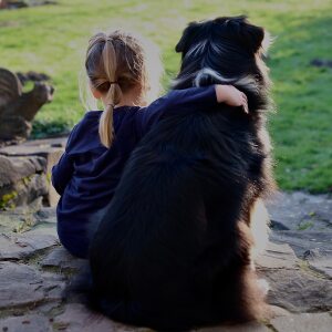 Profilbild von Wolfgang Abel