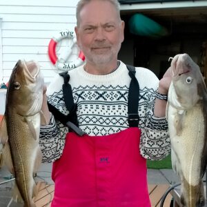 Profilbild von Wolfgang Behrmann