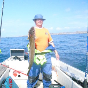 Profilbild von Wolfgang Erdinger