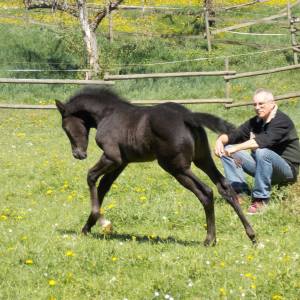 Profilbild von Wolfgang Glowacz