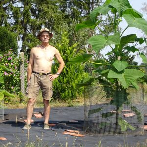 Profilbild von Wolfgang Gumbmann