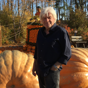 Profilbild von Wolfgang Hansen