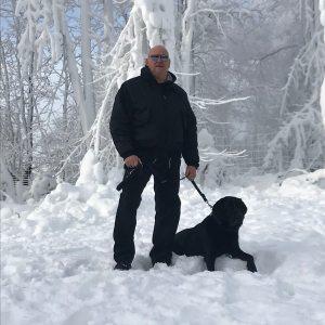 Profilbild von Wolfgang Hartwig