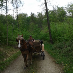 Profilbild von Wolfgang Hellwig