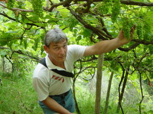 Profilbild von Wolfgang Meyer