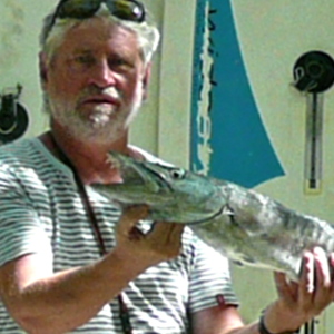 Profilbild von Wolfgang Niemann