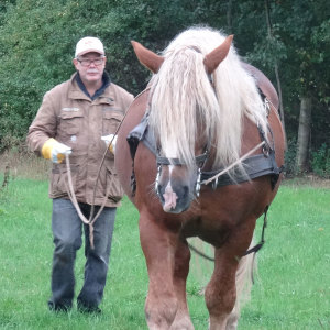 Profilbild von Wolfgang Nolte