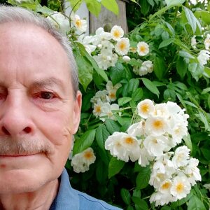 Profilbild von Wolfgang Rohlf