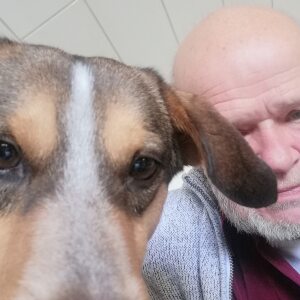 Profilbild von Wolfgang Veits