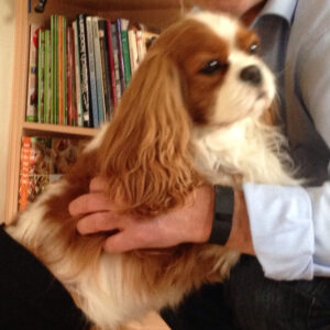 Profilbild von Wolfgang Webel