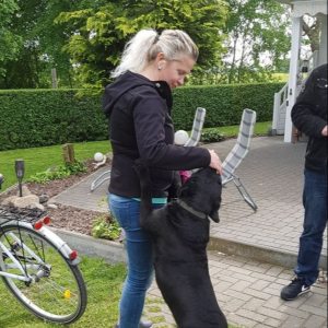 Profilbild von Yvonne Lorentz