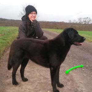 Profilbild von Yvonne Ludwig