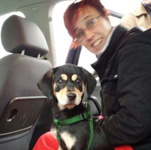 Profilbild von bianca rauch